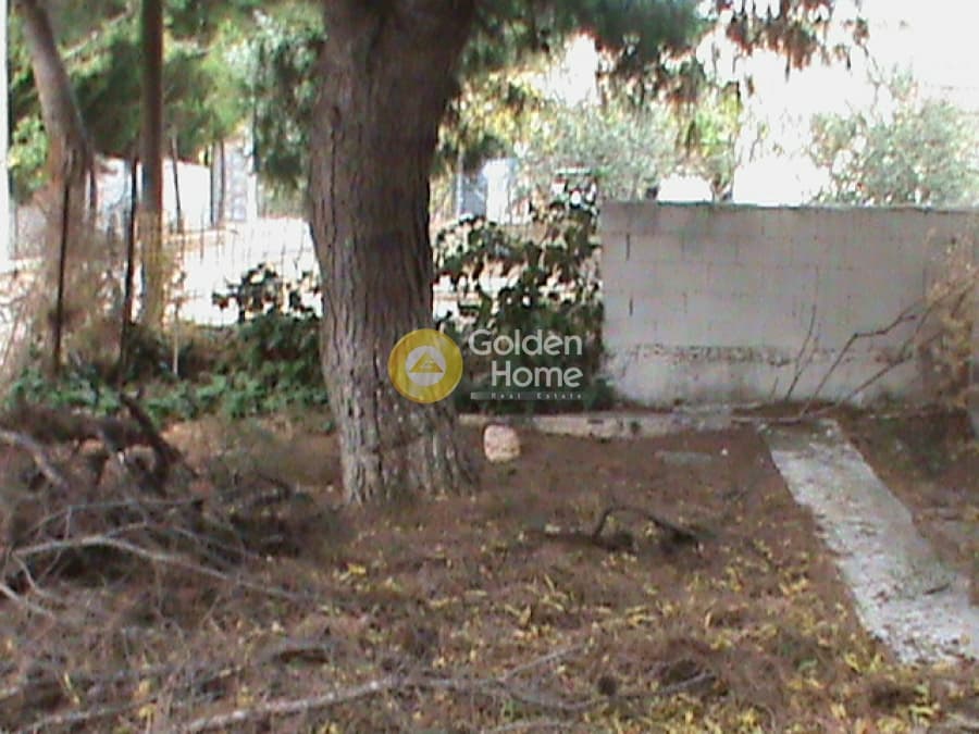 Building Plot in Megala Sxoinia A, Acharnes — Photo 5 of 5