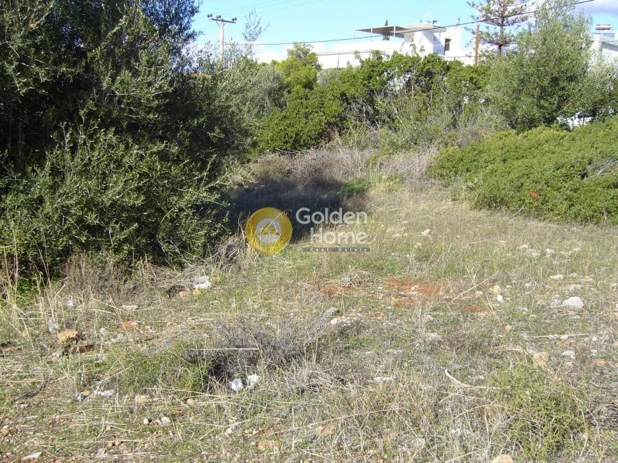 Οικόπεδο στην Σαρωνίδα, Σαρωνίδα — Φωτογραφία 5 από 7