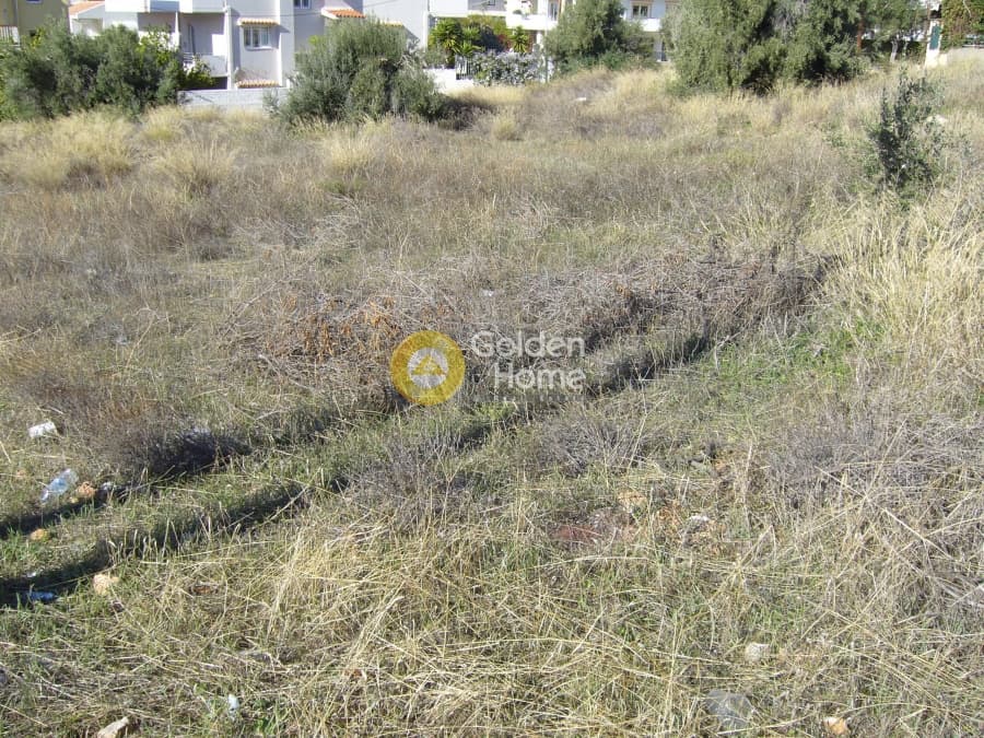 Οικόπεδο στην Σαρωνίδα, Σαρωνίδα — Φωτογραφία 6 από 7