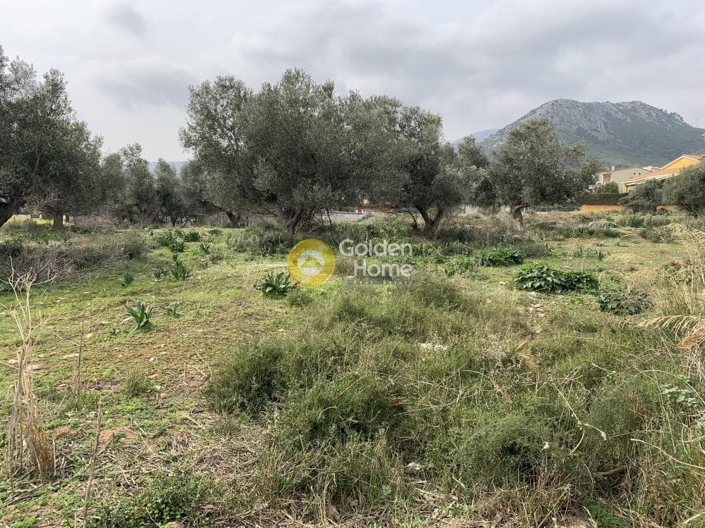 Οικόπεδο στην Άγιος Ανδρέας, Νέα Μάκρη — Φωτογραφία 1 από 2