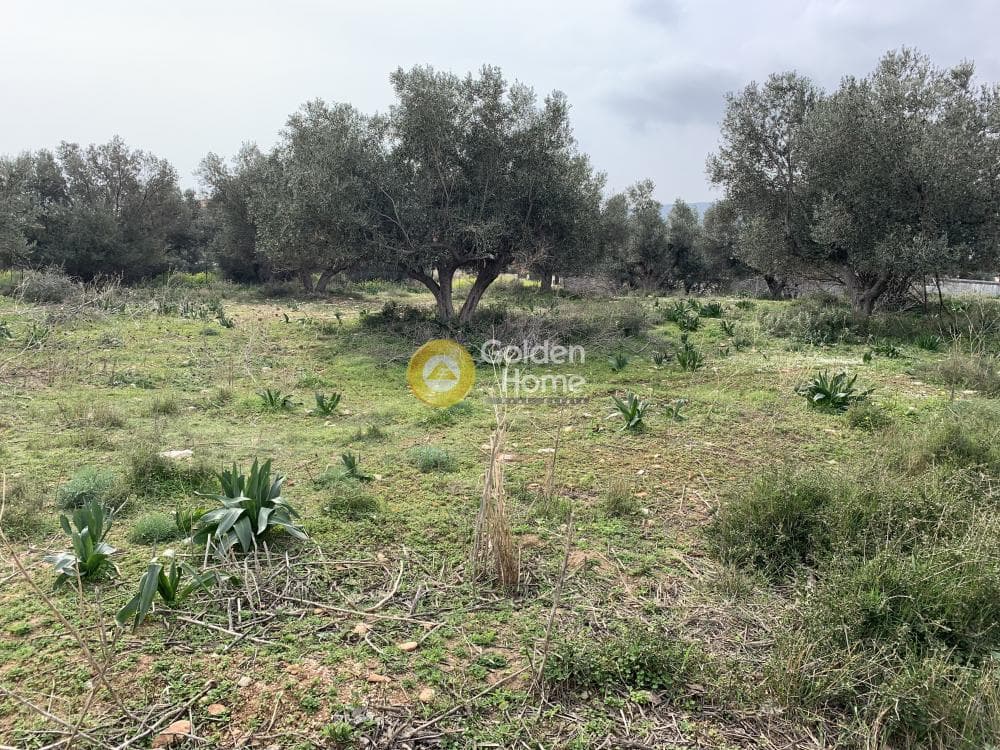 Οικόπεδο στην Άγιος Ανδρέας, Νέα Μάκρη — Φωτογραφία 2 από 3