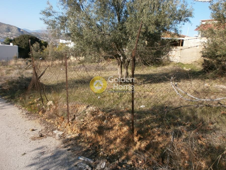 Building Plot in Agios Athanasios, Salamina — Photo 6 of 7