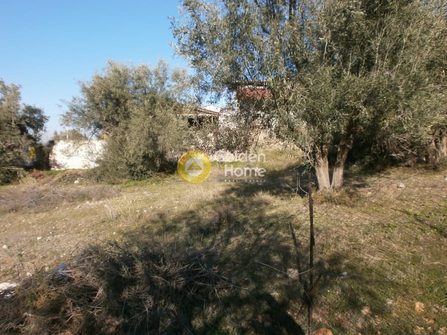 Building Plot in Agios Athanasios, Salamina — Photo 7 of 7