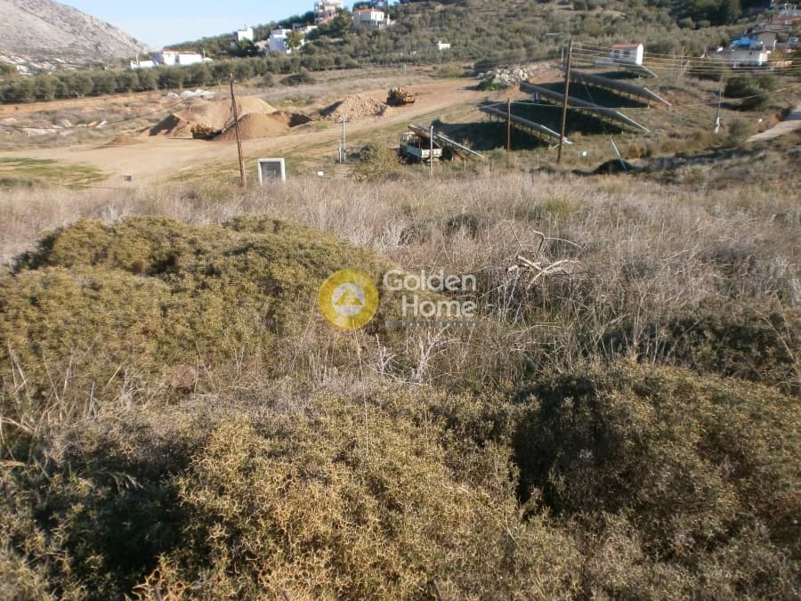 Οικόπεδο στην Σπιθάρι, Αμπελάκια — Φωτογραφία 1 από 9