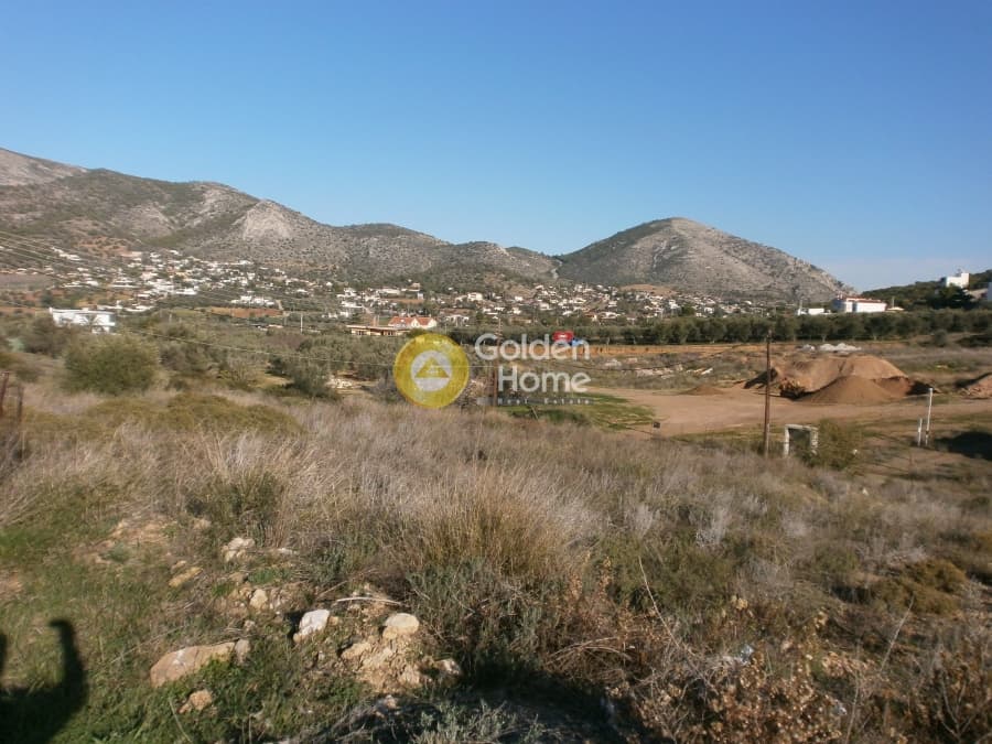 Οικόπεδο στην Σπιθάρι, Αμπελάκια — Φωτογραφία 4 από 9