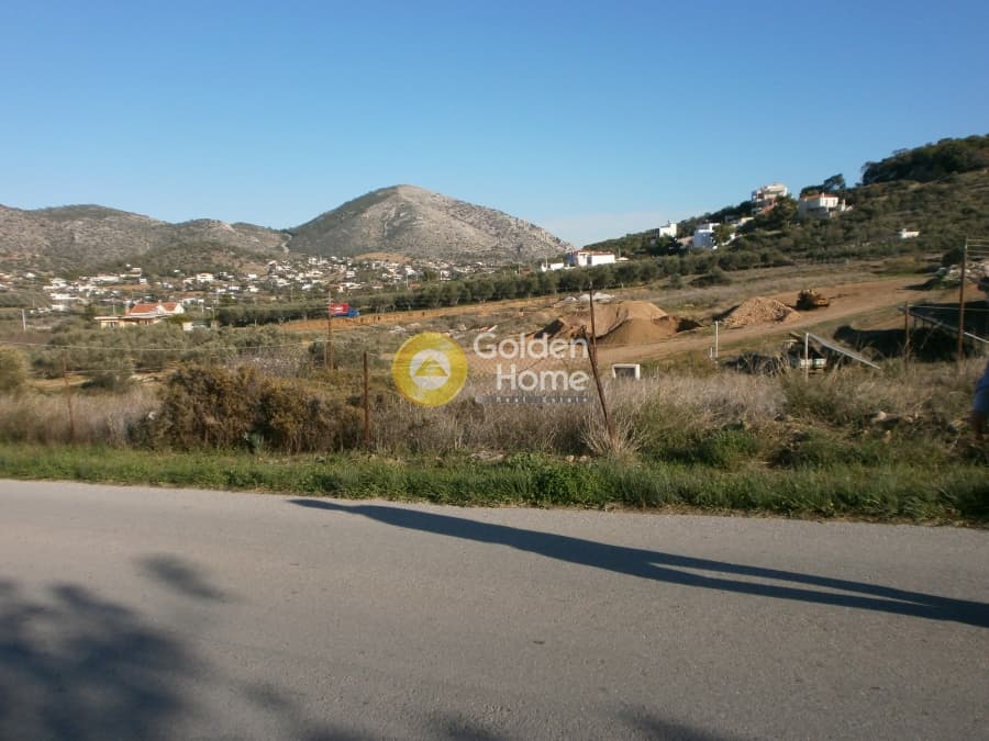 Οικόπεδο στην Σπιθάρι, Αμπελάκια — Φωτογραφία 7 από 9