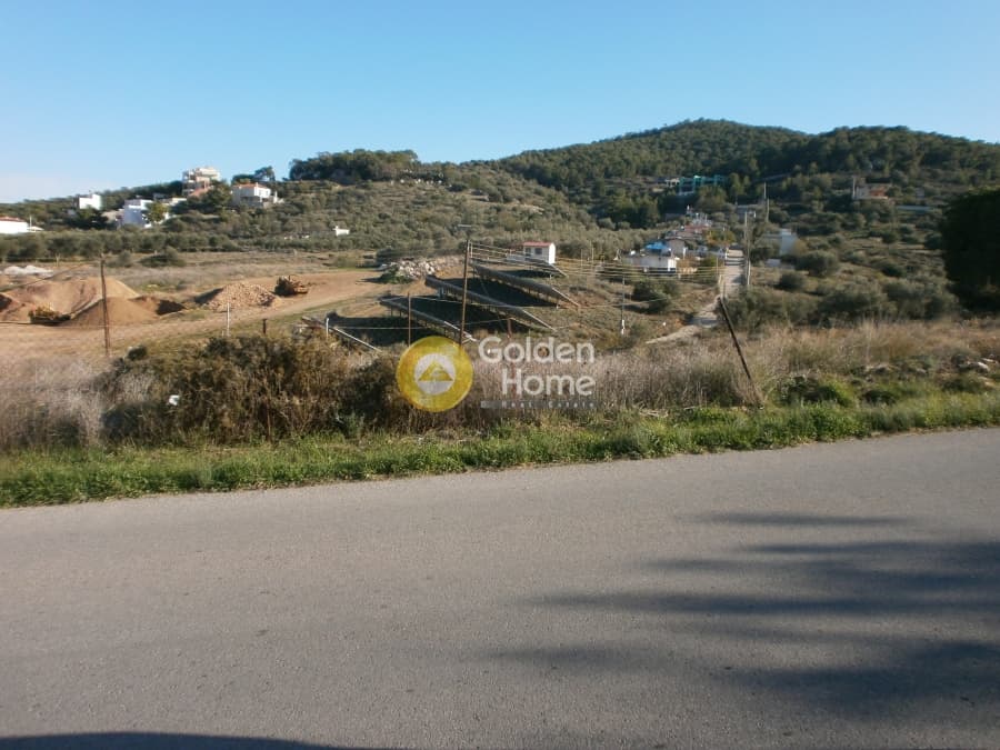 Οικόπεδο στην Σπιθάρι, Αμπελάκια — Φωτογραφία 9 από 9
