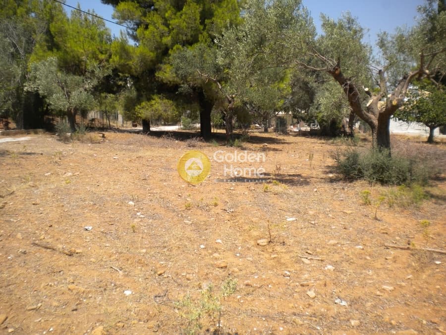 Building Plot in Megala Sxoinia A, Acharnes — Photo 1 of 9