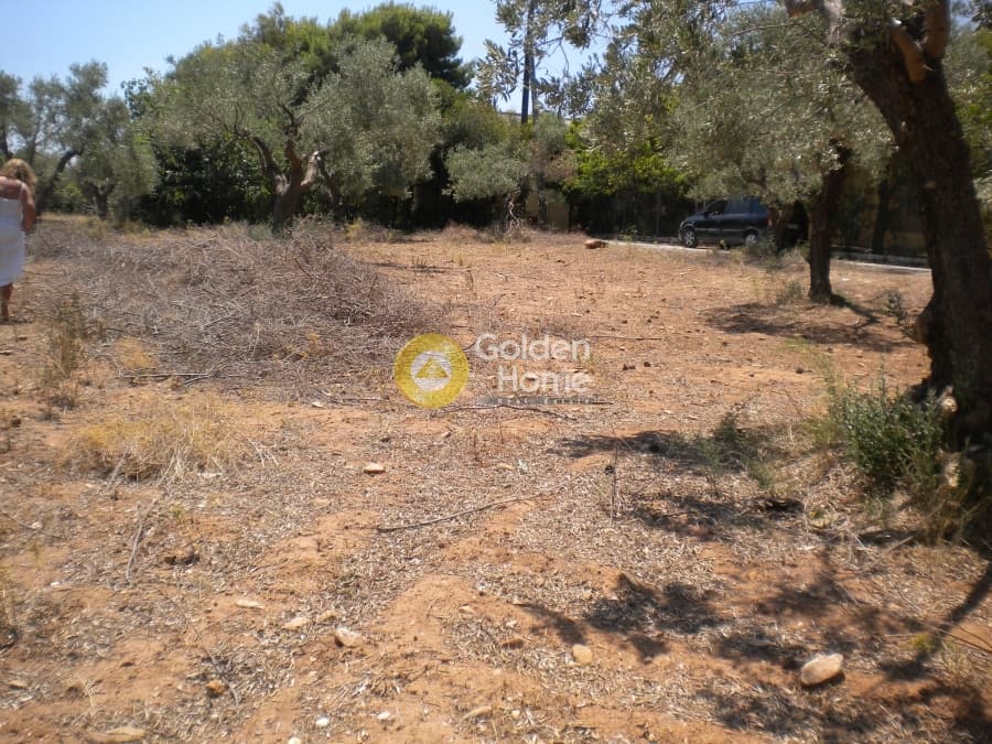 Building Plot in Megala Sxoinia A, Acharnes — Photo 2 of 9