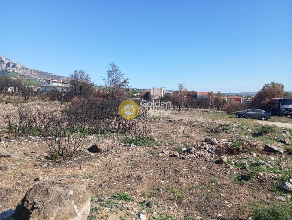 Building Plot in Megala Sxoinia A, Acharnes — Photo 4 of 9