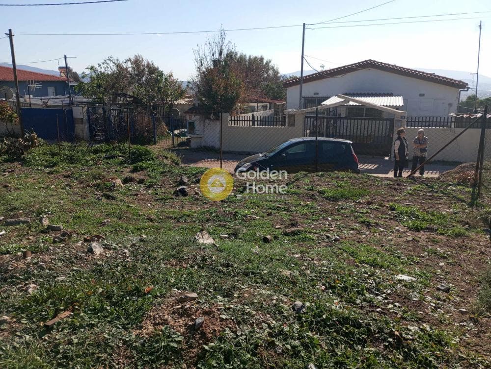 Building Plot in Megala Sxoinia A, Acharnes — Photo 5 of 9