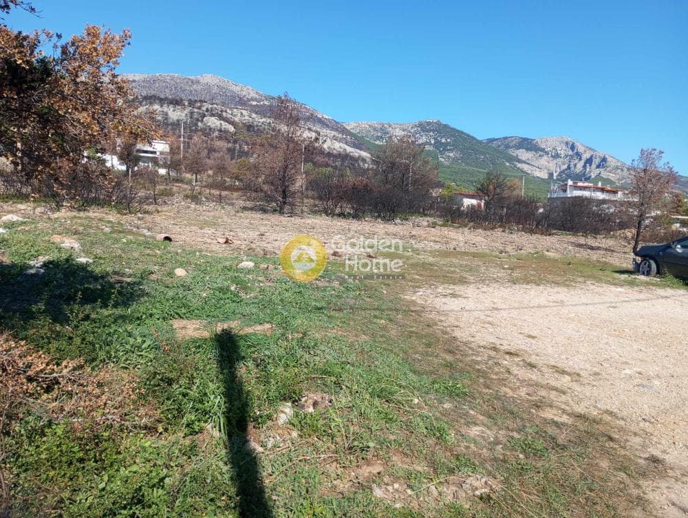 Building Plot in Megala Sxoinia A, Acharnes — Photo 6 of 9