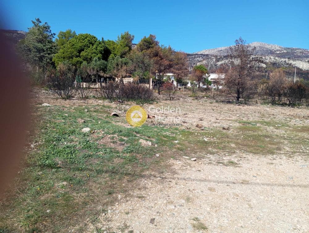 Building Plot in Megala Sxoinia A, Acharnes — Photo 7 of 9