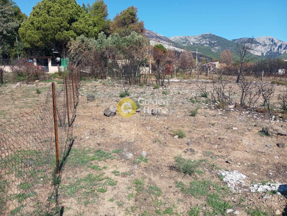 Building Plot in Megala Sxoinia A, Acharnes — Photo 8 of 9