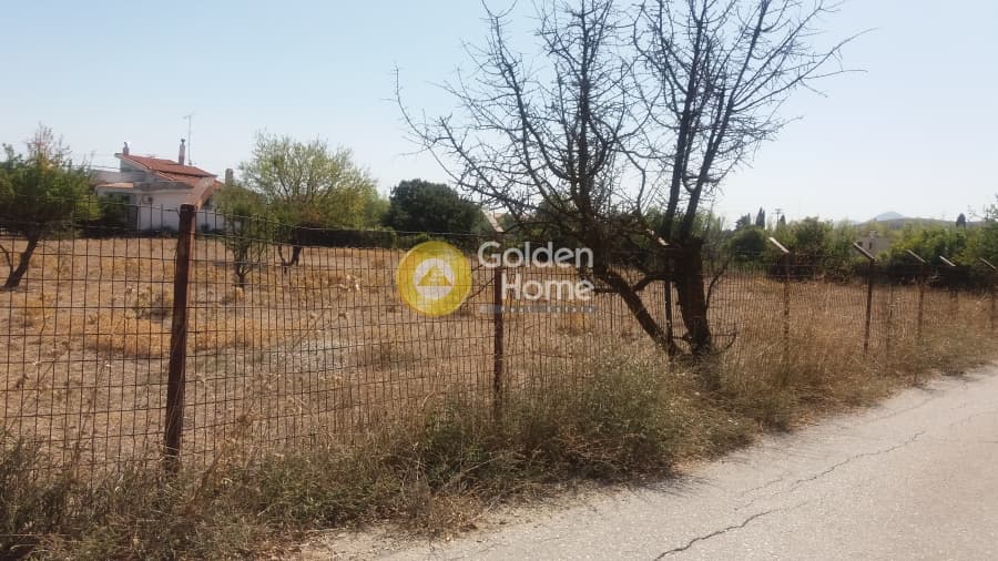 Building Plot in Stathmos Afidnon, Afidnes — Photo 3 of 3
