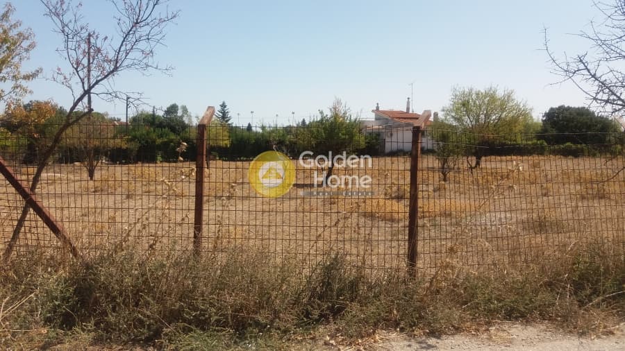 Building Plot in Stathmos Afidnon, Afidnes — Photo 2 of 4