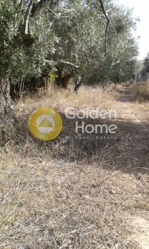 Building Plot in Paralia Daskaleiou, Keratea — Photo 1 of 3