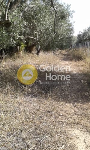 Building Plot in Paralia Daskaleiou, Keratea — Photo 2 of 3