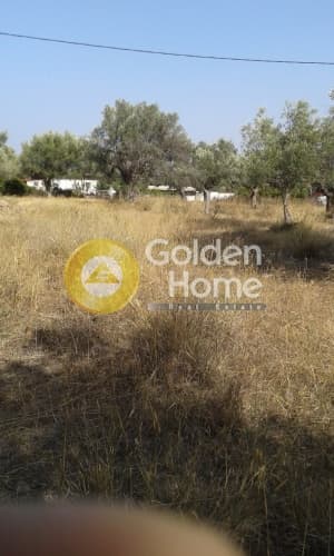 Building Plot in Paralia Daskaleiou, Keratea — Photo 3 of 3