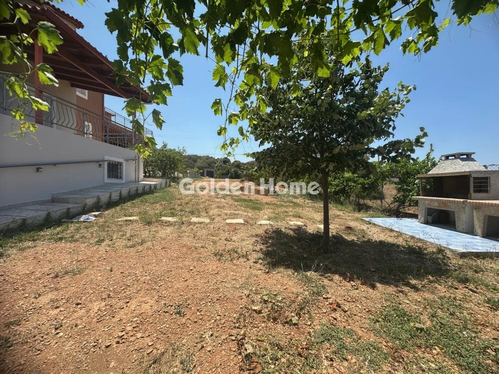 Μονοκατοικία στην Πόρτο Ράφτη, Βραυρώνα — Φωτογραφία 13 από 14