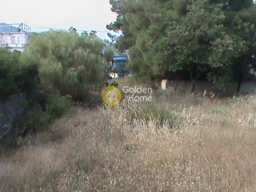 Αγροτεμάχιο στην Μεγάλα Σχοινία Α, Αχαρνές — Φωτογραφία 6 από 9