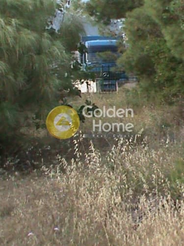 Αγροτεμάχιο στην Μεγάλα Σχοινία Α, Αχαρνές — Φωτογραφία 7 από 9