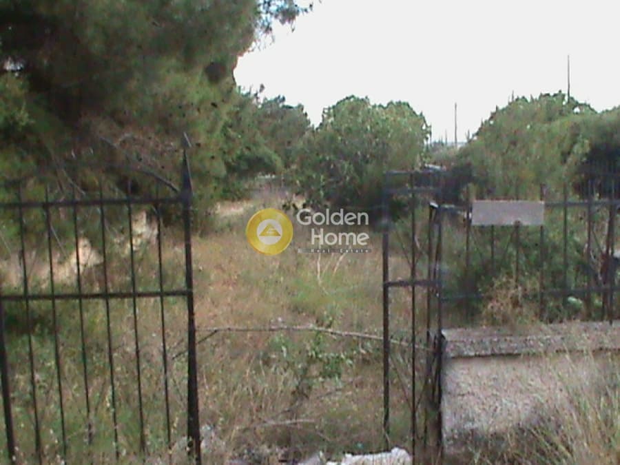 Αγροτεμάχιο στην Μεγάλα Σχοινία Α, Αχαρνές — Φωτογραφία 8 από 9