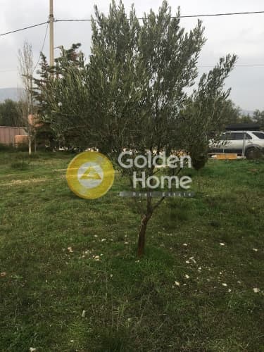 Building Plot in Ampelonas, Kalivia Thorikou — Photo 3 of 10