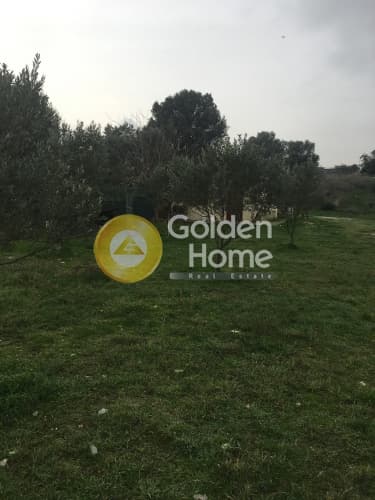 Building Plot in Ampelonas, Kalivia Thorikou — Photo 4 of 10