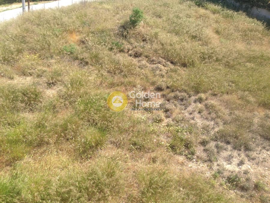 Building Plot in Kalivia, Kalivia Thorikou — Photo 13 of 15