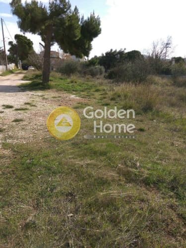 Building Plot in Kalivia, Kalivia Thorikou — Photo 5 of 15