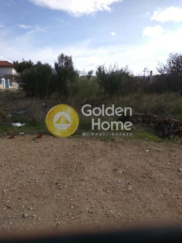 Building Plot in Kalivia, Kalivia Thorikou — Photo 14 of 15