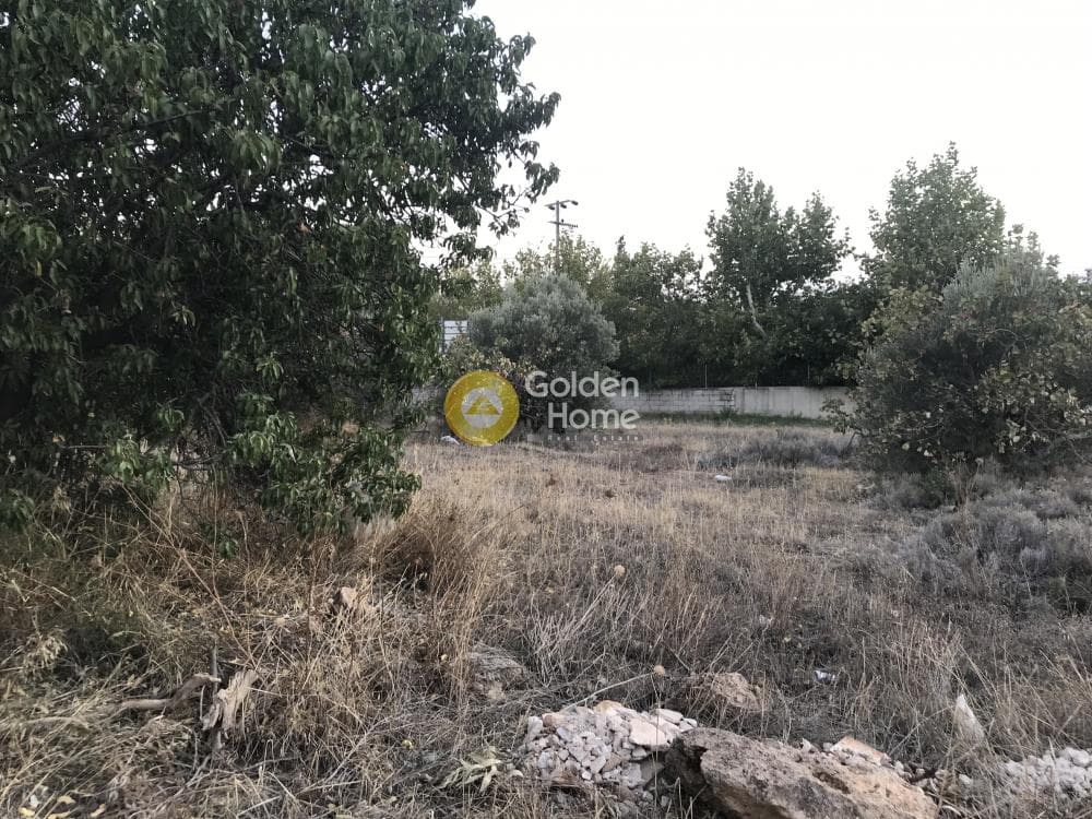 Building Plot in Kalivia, Kalivia Thorikou — Photo 9 of 15