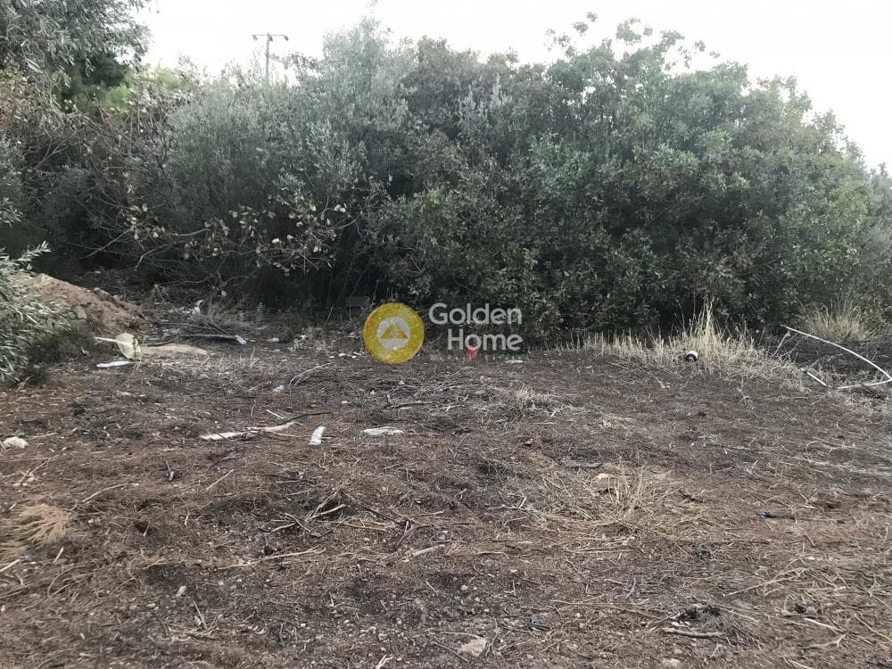 Building Plot in Kalivia, Kalivia Thorikou — Photo 3 of 15