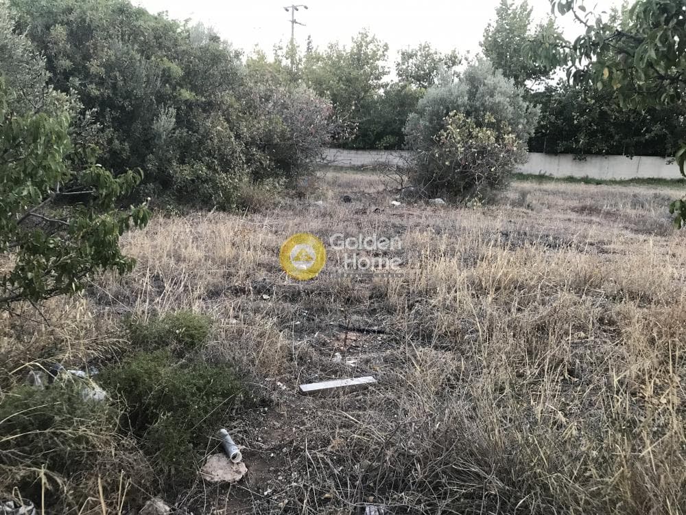 Building Plot in Kalivia, Kalivia Thorikou — Photo 6 of 15