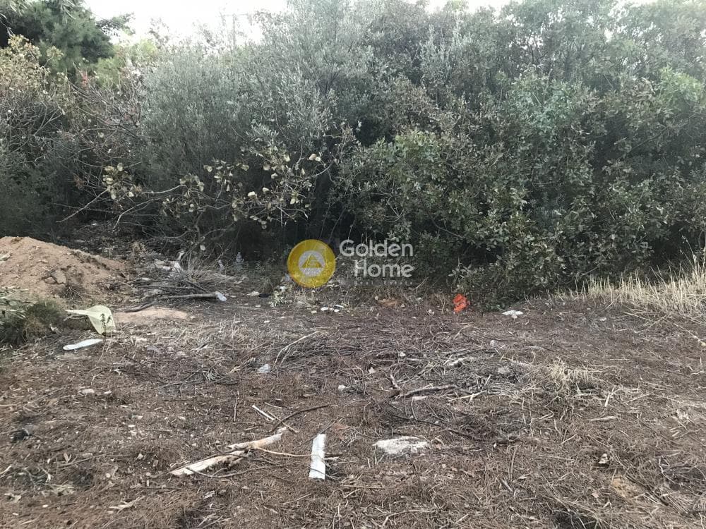 Building Plot in Kalivia, Kalivia Thorikou — Photo 12 of 15