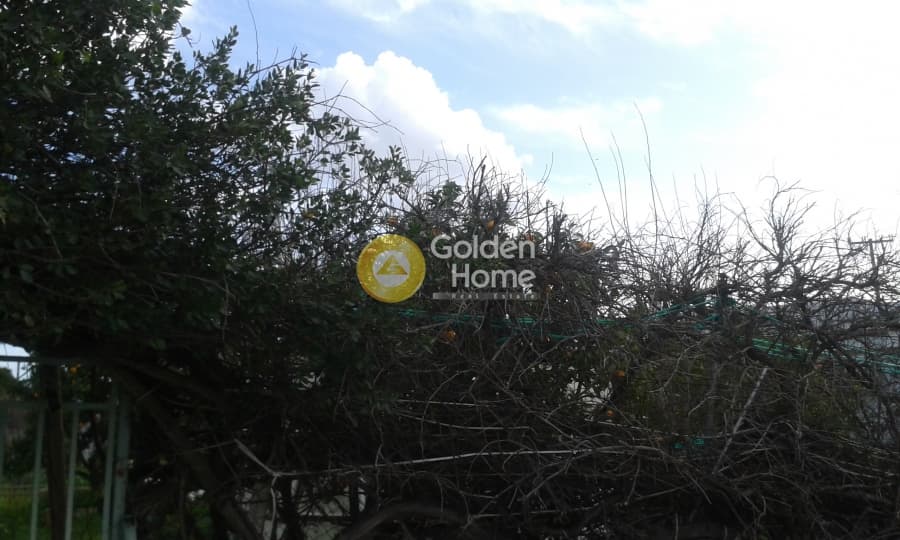 Οικόπεδο στην Πόρτο Ράφτη, Βραυρώνα — Φωτογραφία 2 από 2
