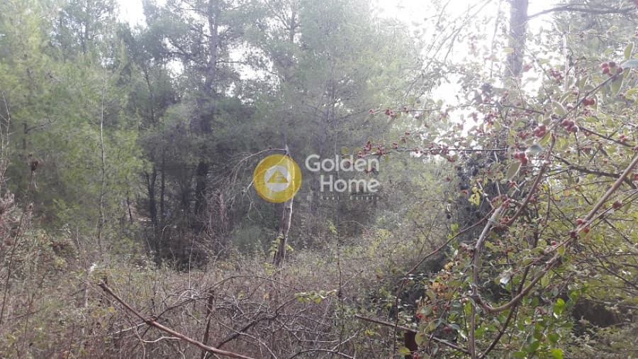 Building Plot in Rodopoli, Rodopoli — Photo 1 of 10