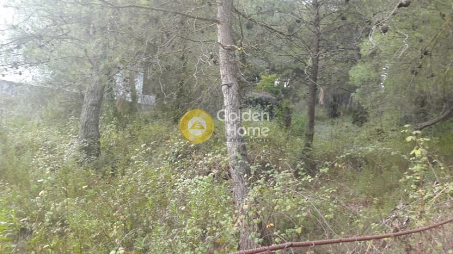 Building Plot in Rodopoli, Rodopoli — Photo 3 of 10