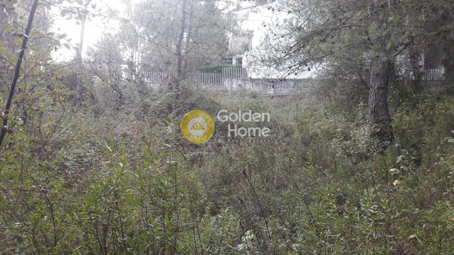 Building Plot in Rodopoli, Rodopoli — Photo 5 of 10