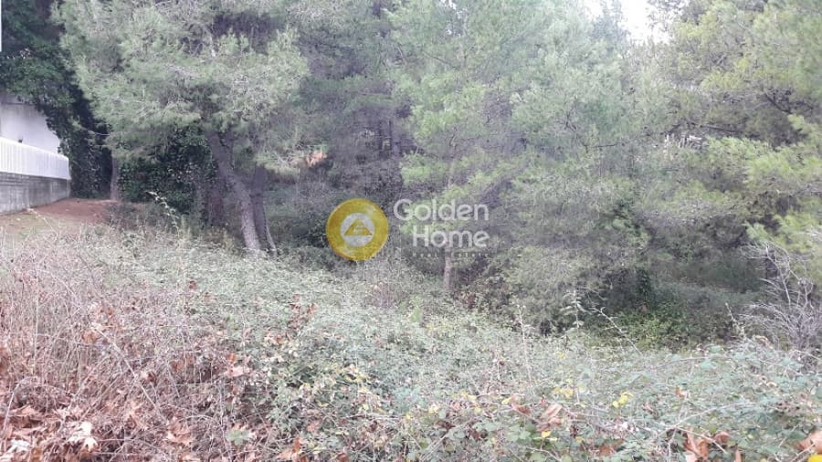 Building Plot in Rodopoli, Rodopoli — Photo 6 of 10