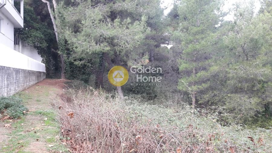 Building Plot in Rodopoli, Rodopoli — Photo 7 of 10