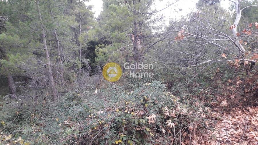 Building Plot in Rodopoli, Rodopoli — Photo 9 of 10