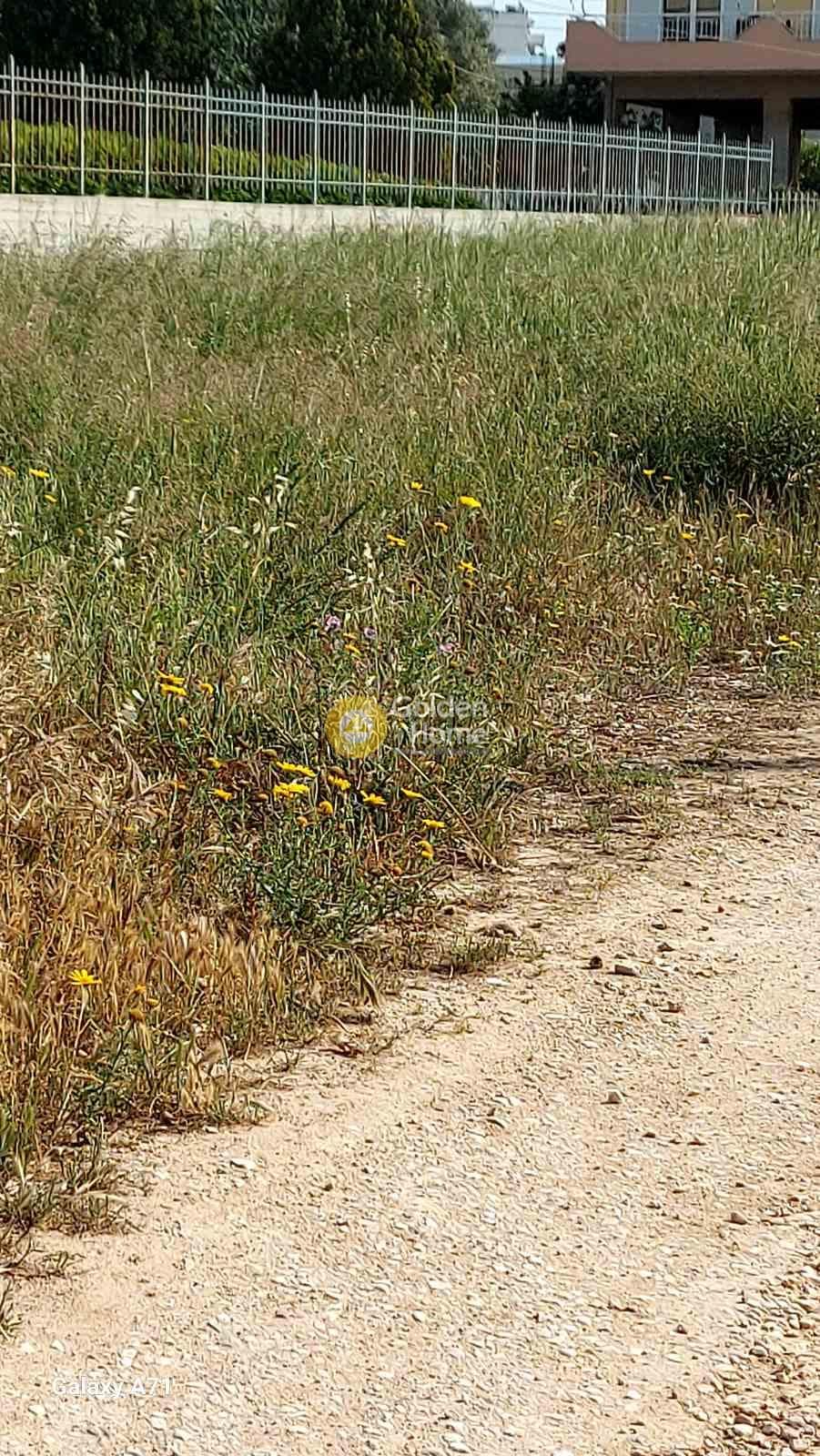Building Plot in Center, Markopoulo — Photo 2 of 2