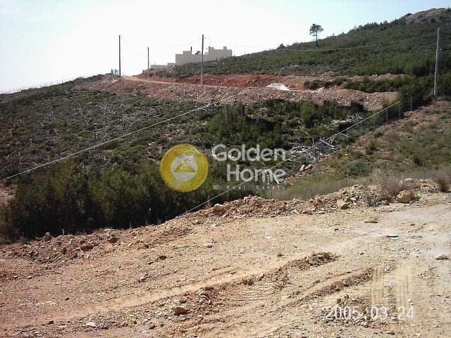 Building Plot in Dasamari, Pikermi — Photo 9 of 13