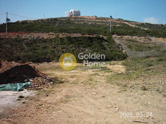 Building Plot in Dasamari, Pikermi — Photo 12 of 13