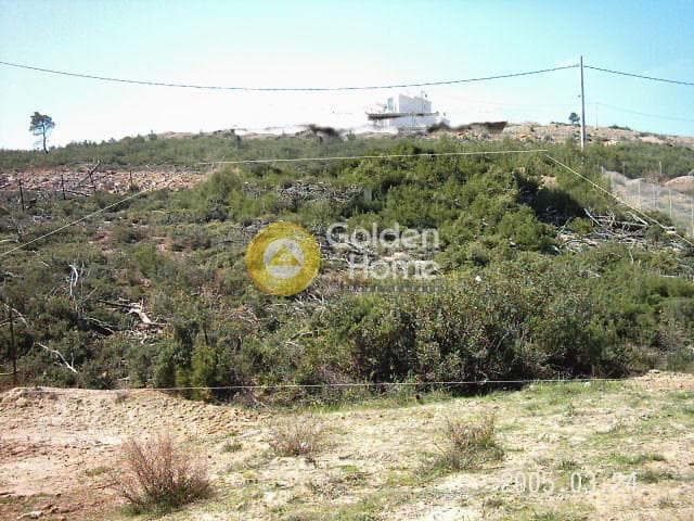 Building Plot in Dasamari, Pikermi — Photo 13 of 13