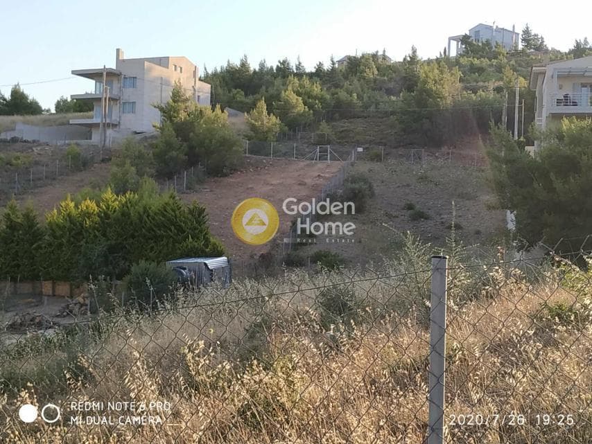 Building Plot in Dasamari, Pikermi — Photo 1 of 13