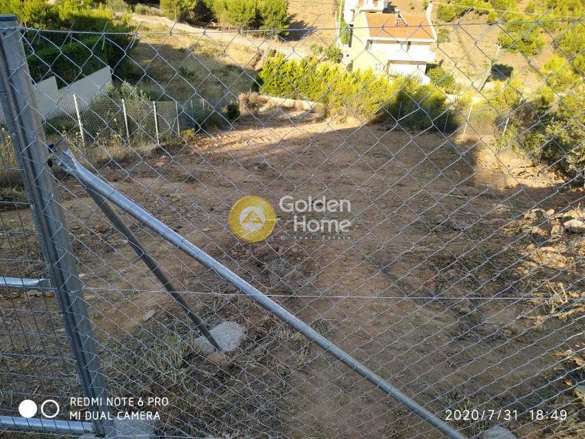 Building Plot in Dasamari, Pikermi — Photo 3 of 13