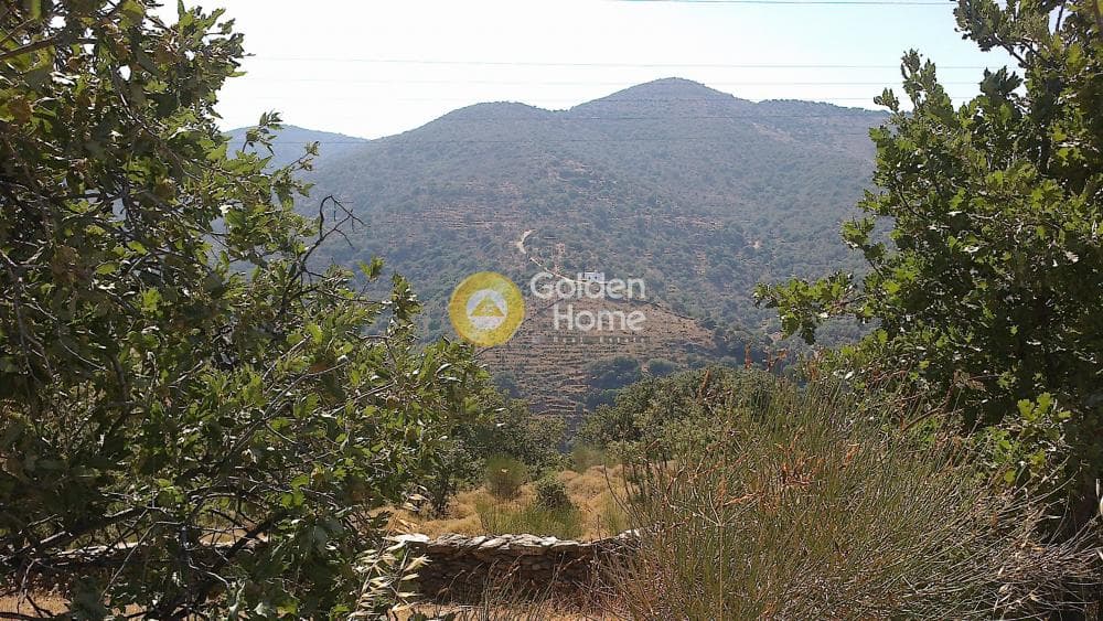 Αγροτεμάχιο στην Αγία Μαρίνα, Κέα — Φωτογραφία 1 από 5